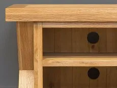 Honey B Honey B X Range 1 Door Oak Wooden TV Cabinet (Assembled)
