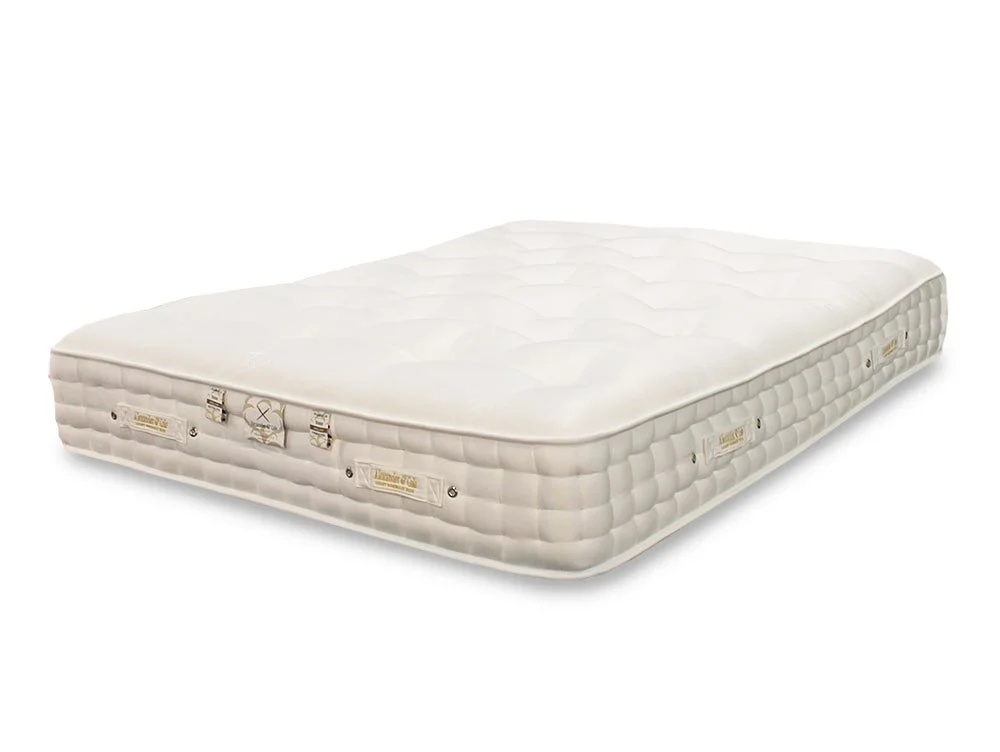 Alexander and Cole Alexander & Cole Tranquillity Pocket 5000 Lunar Divan Bed
