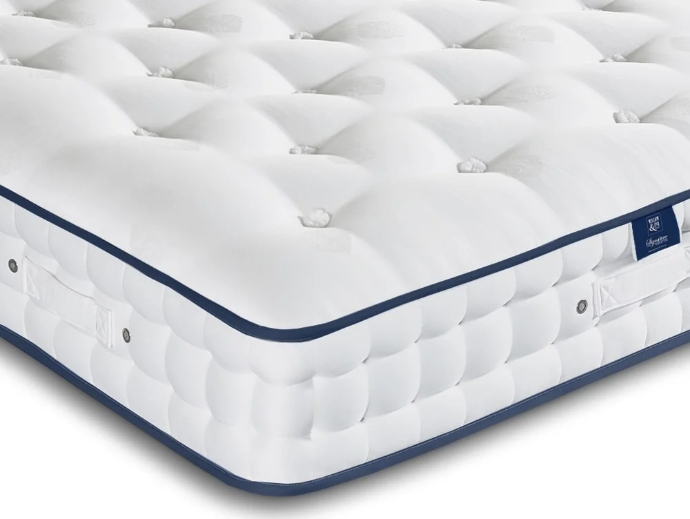 Willow & Eve Willow & Eve Bed Co. Signature Comfort Pocket 1000 Divan Bed