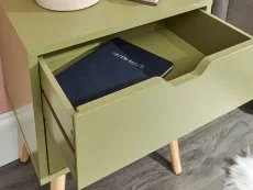 GFW GFW Nyborg Boa Green 2 Drawer Bedside Table (Flat Packed)