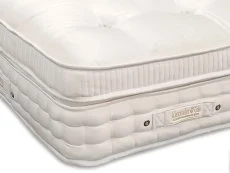 Alexander and Cole Alexander & Cole Tranquillity Pocket 9000 Pillowtop Lunar Divan Bed