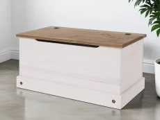 Core Core Corona White and Pine Storage Trunk