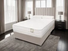 ASC ASC Bamboo Ortho Pocket 2000 Lunar Divan Bed