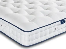 Willow & Eve Willow & Eve Bed Co. Signature Comfort Pocket 1000 Divan Bed