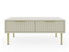 GFW GFW Nervata Ivory 2 Drawer Coffee Table