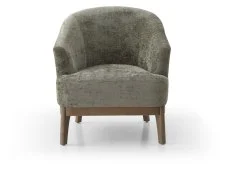 Kyoto Ella Distressed Olive Chenille Accent Chair Kyoto Ella Distressed Olive Chenille Accent Chair