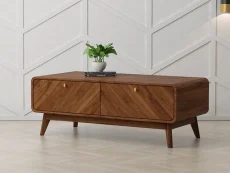 Kidsaw Kidsaw Petra Walnut 2 Drawer Coffee Table