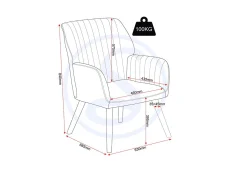 Seconique Seconique Jordan Dark Grey Velvet Accent Chair
