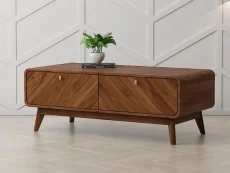 Kidsaw Kidsaw Petra Walnut 2 Drawer Coffee Table