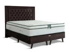 Deluxe Deluxe Ultra Edge Aloe Vera Pillowtop Mattress