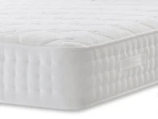 Willow & Eve Willow & Eve Picasso Divan Bed